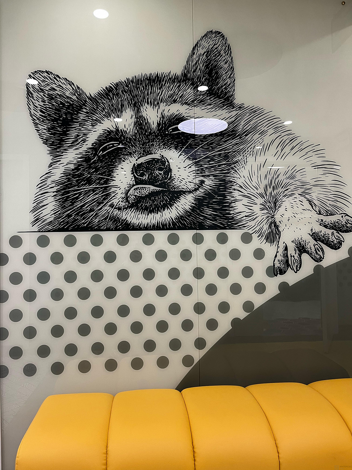 Фотопечать &quot;Енот&quot;